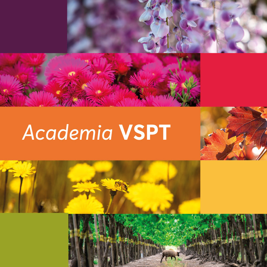 Academia VSPT